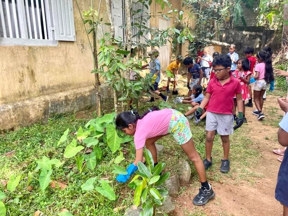 Thomas Gall - International School in Galle